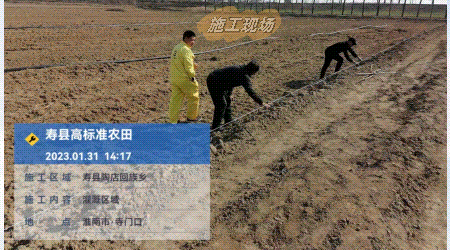 高標準農(nóng)田施工現(xiàn)場.gif