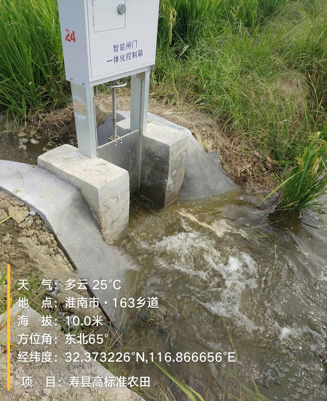 壽縣高標準農(nóng)田