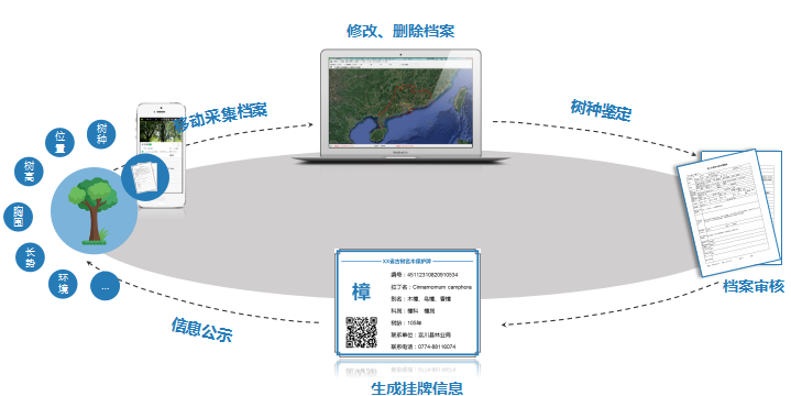 古樹目錄.png