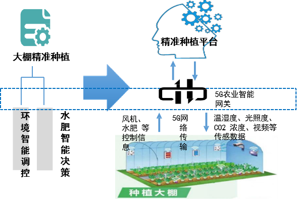 設(shè)施農(nóng)業(yè)大棚精準(zhǔn)種植.png