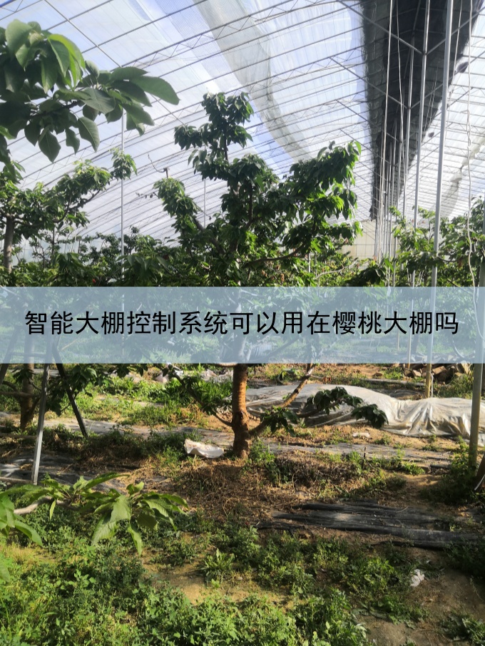 智能大棚控制系統(tǒng)