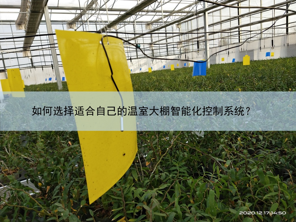 溫室大棚智能化控制系統(tǒng)