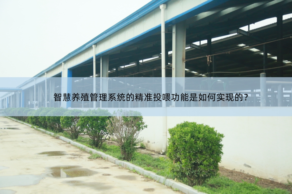 智慧養(yǎng)殖管理系統(tǒng)
