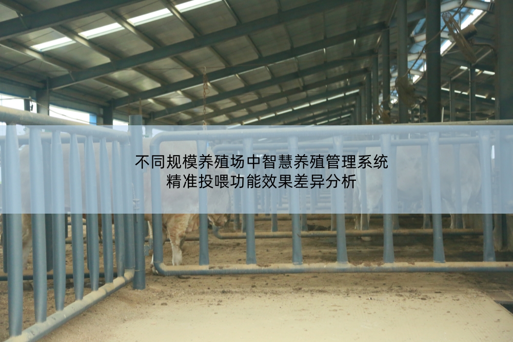 智慧養(yǎng)殖管理系統(tǒng)