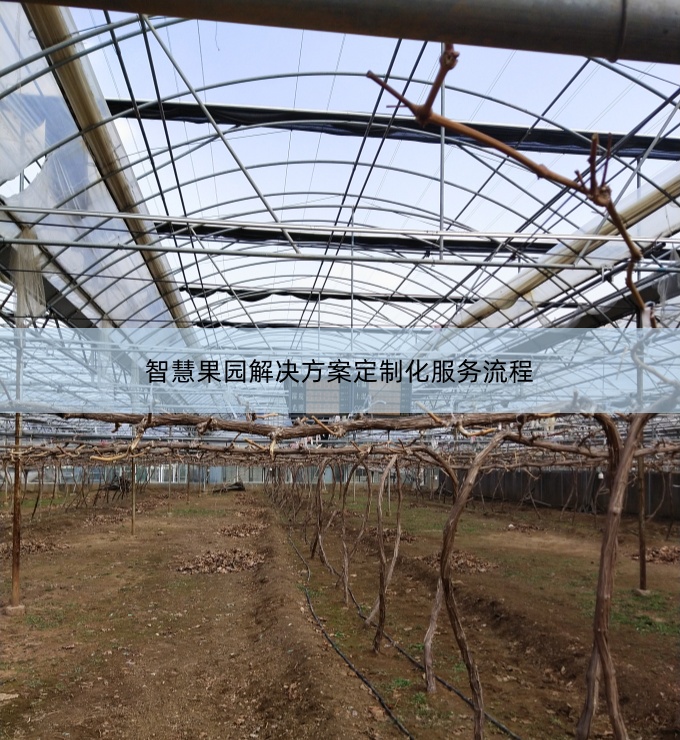 智慧果園解決方案定制化服務(wù)流程.jpg