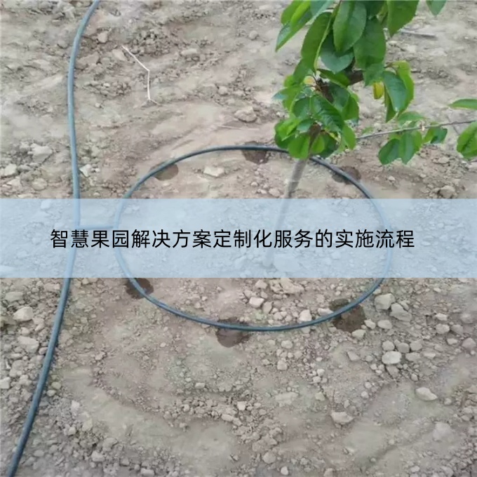 智慧果園解決方案